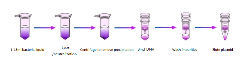 Layanan isolasi DNA tanaman